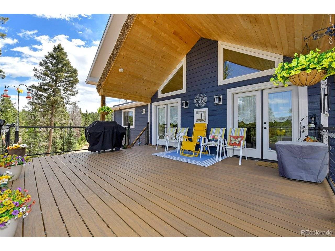 100 Wildcat Creek, Florissant, CO 80816