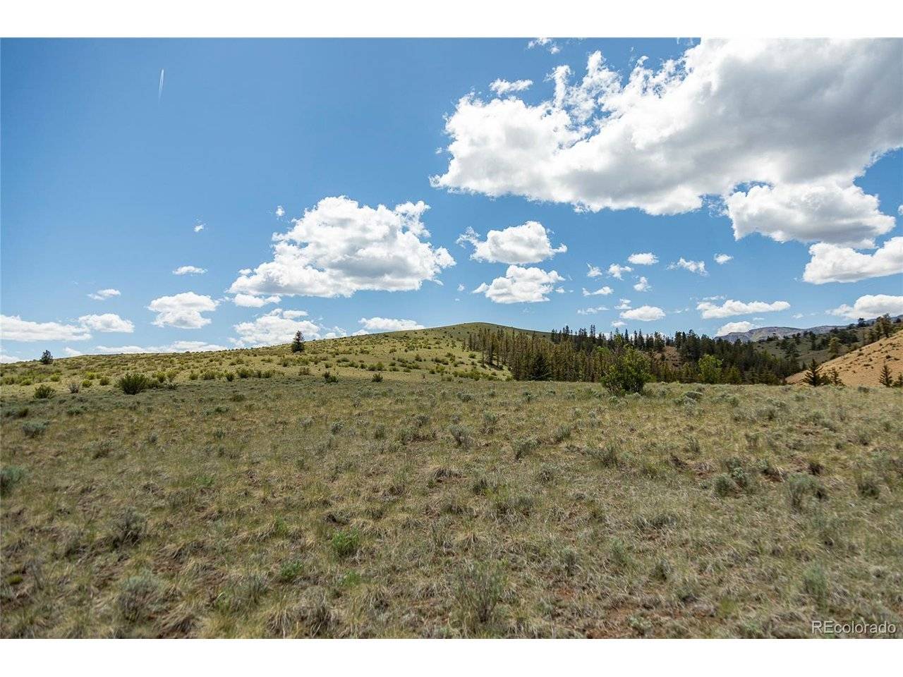 TBD Hwy 149 (B), Creede, CO 81130