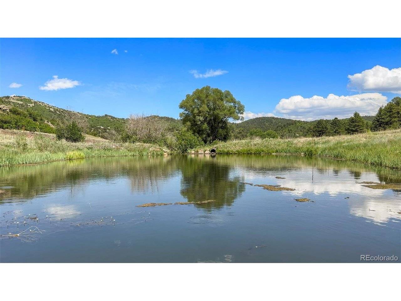 400 Bear Trax, Canon City, CO 81212