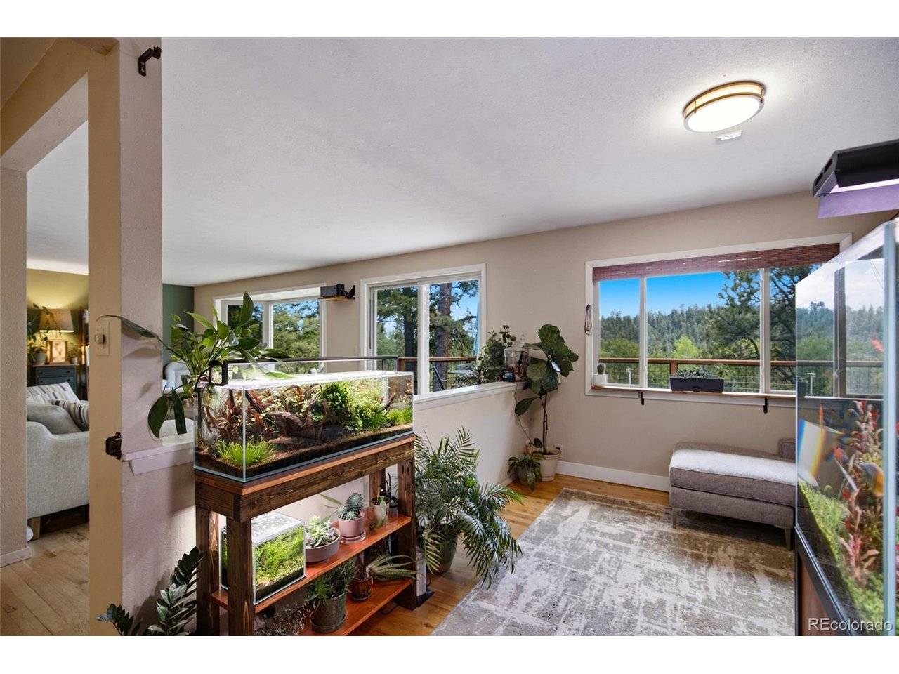 31280 Florence, Conifer, CO 80433