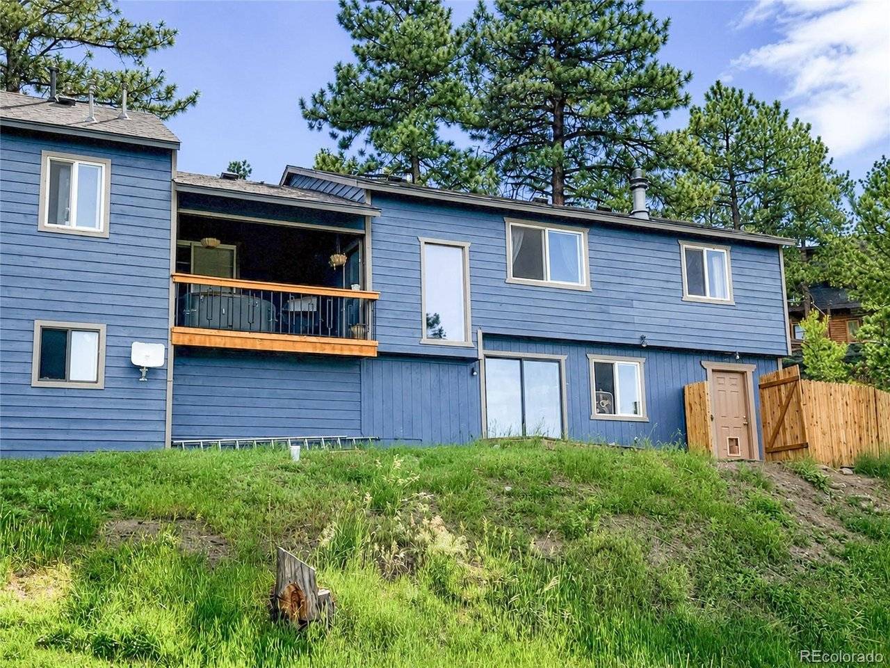 153 Chickadee, Bailey, CO 80421