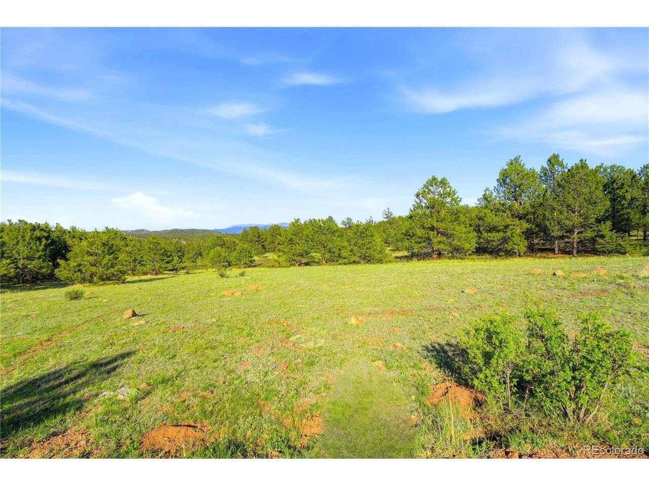 Doe Valley, Guffey, CO 80820