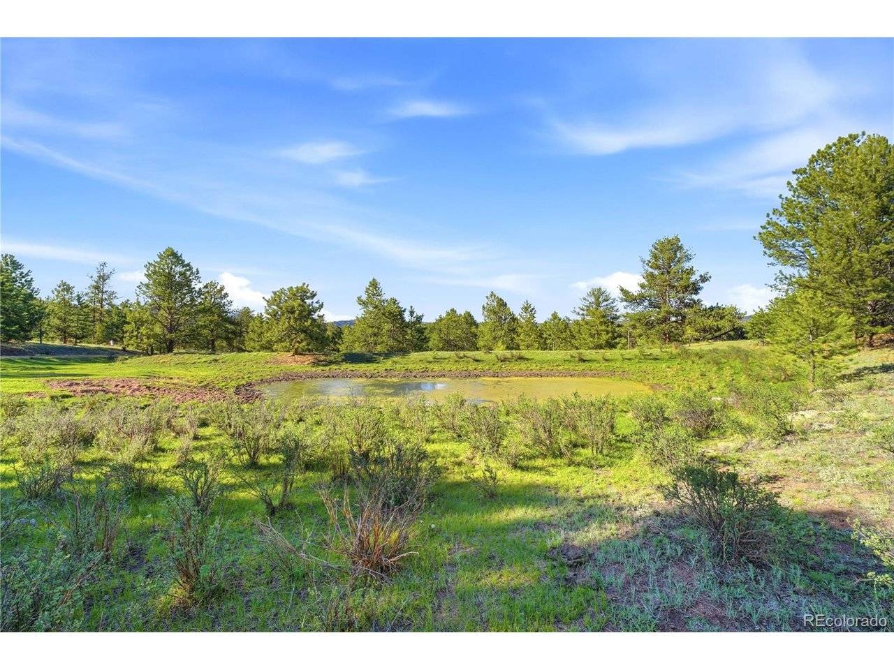 Doe Valley, Guffey, CO 80820