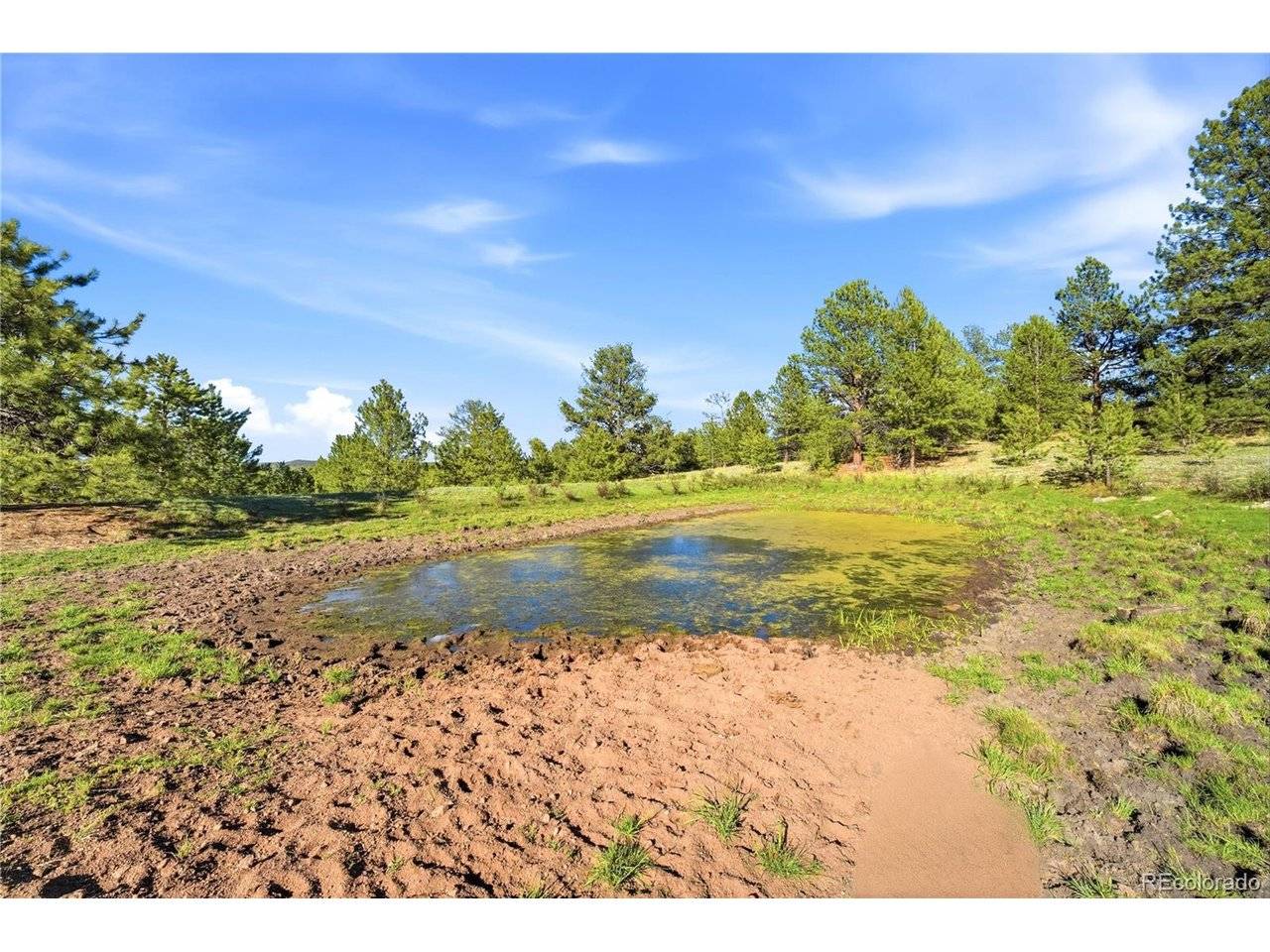 Doe Valley, Guffey, CO 80820