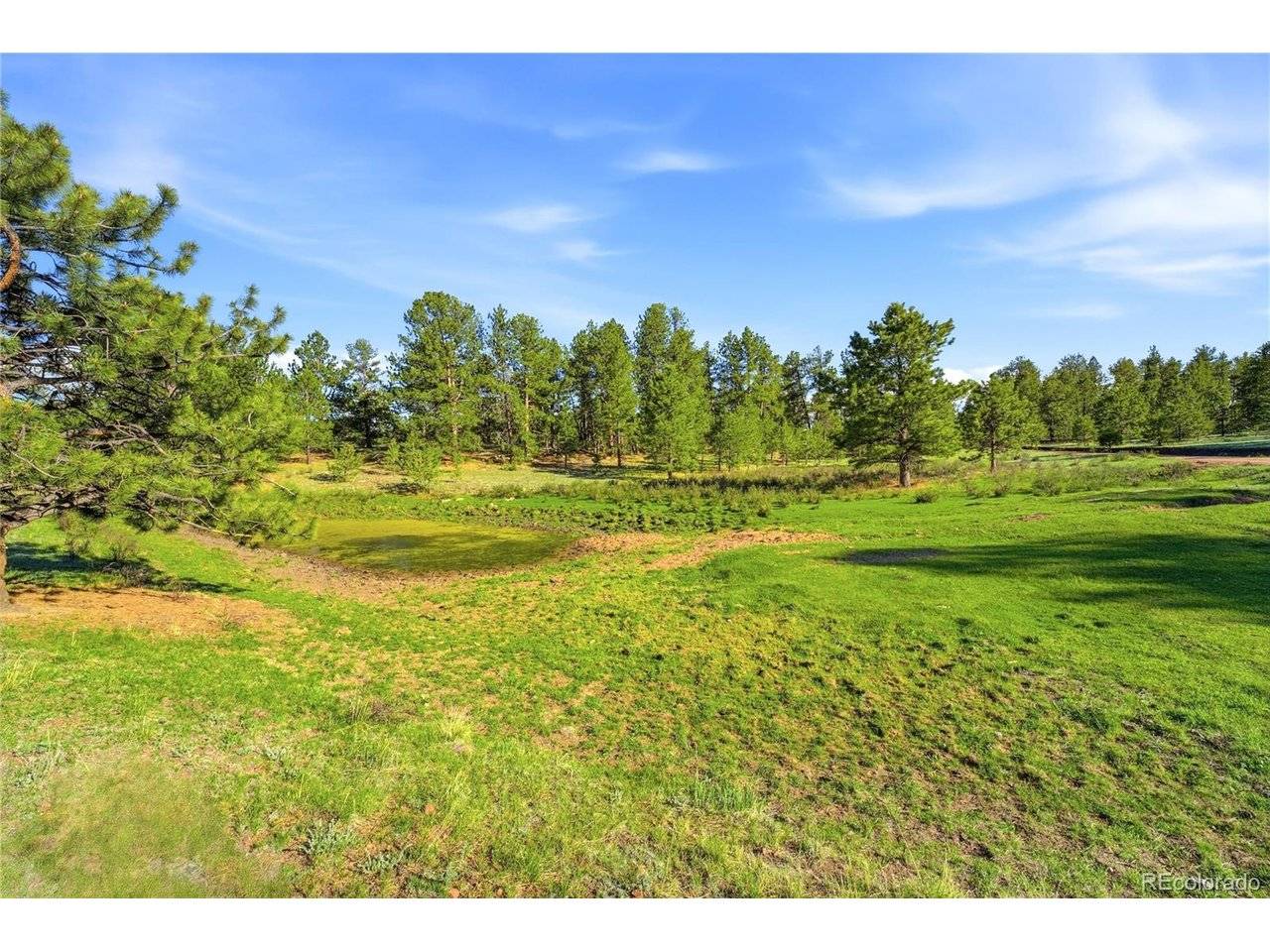 Doe Valley, Guffey, CO 80820