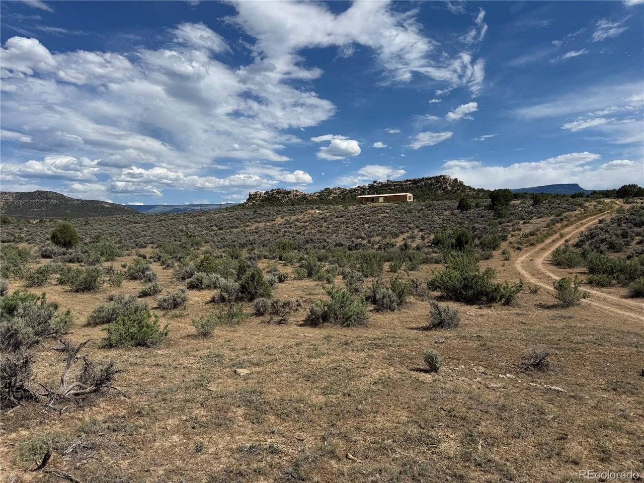 4530 Horse Canyon, De Beque, CO 81630