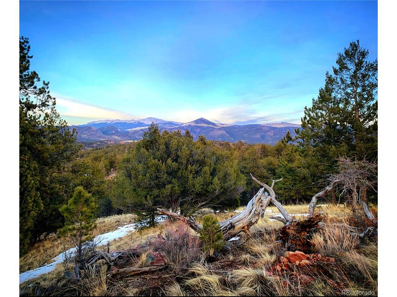 986 Apache, Florissant, CO 80816
