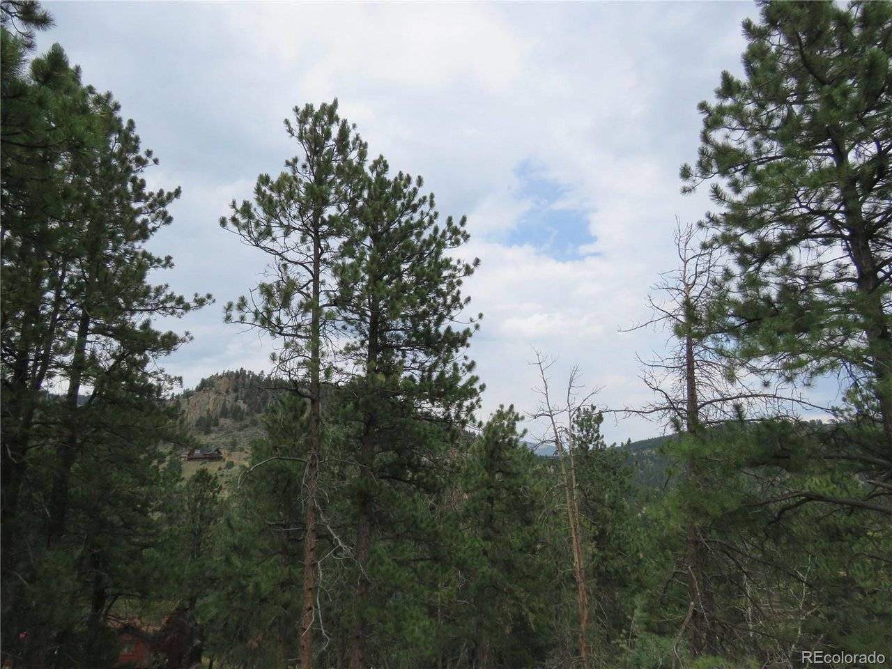 1899 Roland, Bailey, CO 80421