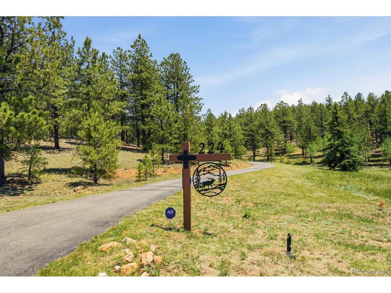 224 Hangman, Bailey, CO 80421