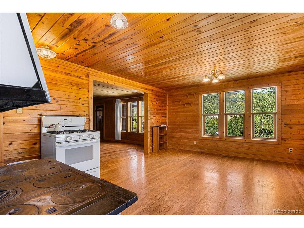 135 S Main, Alma, CO 80420