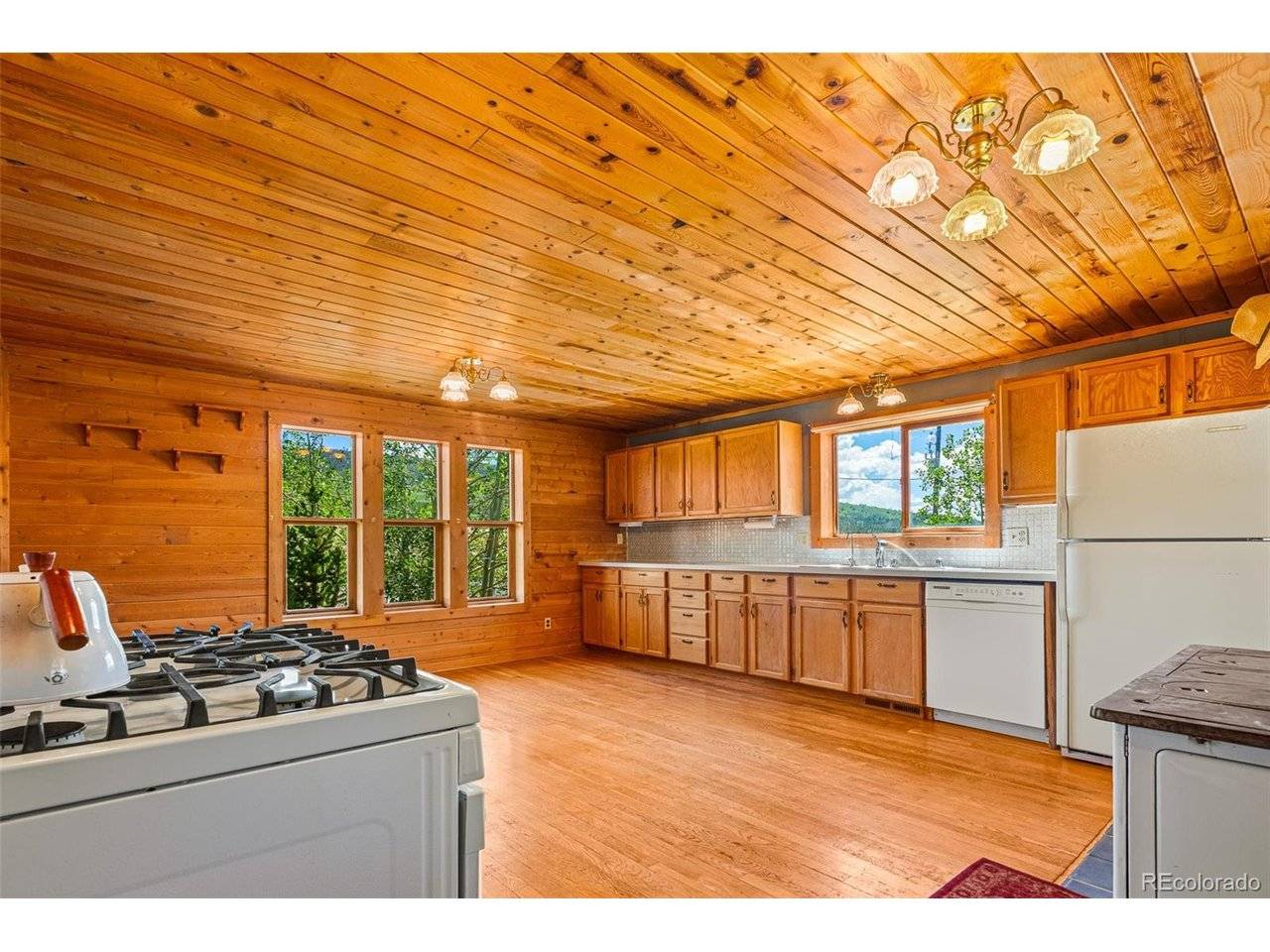 135 S Main, Alma, CO 80420