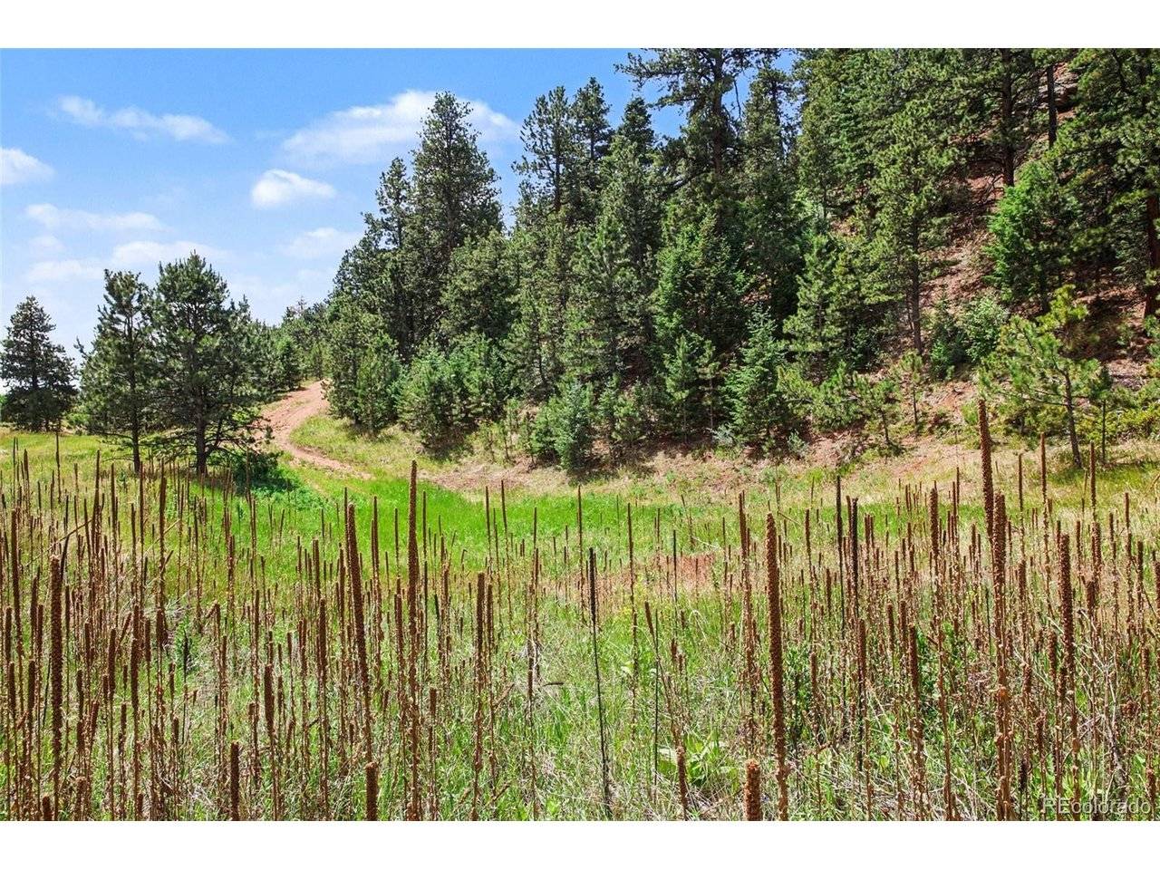 10905 W Highway 24, Green Mountain Falls, CO 80819