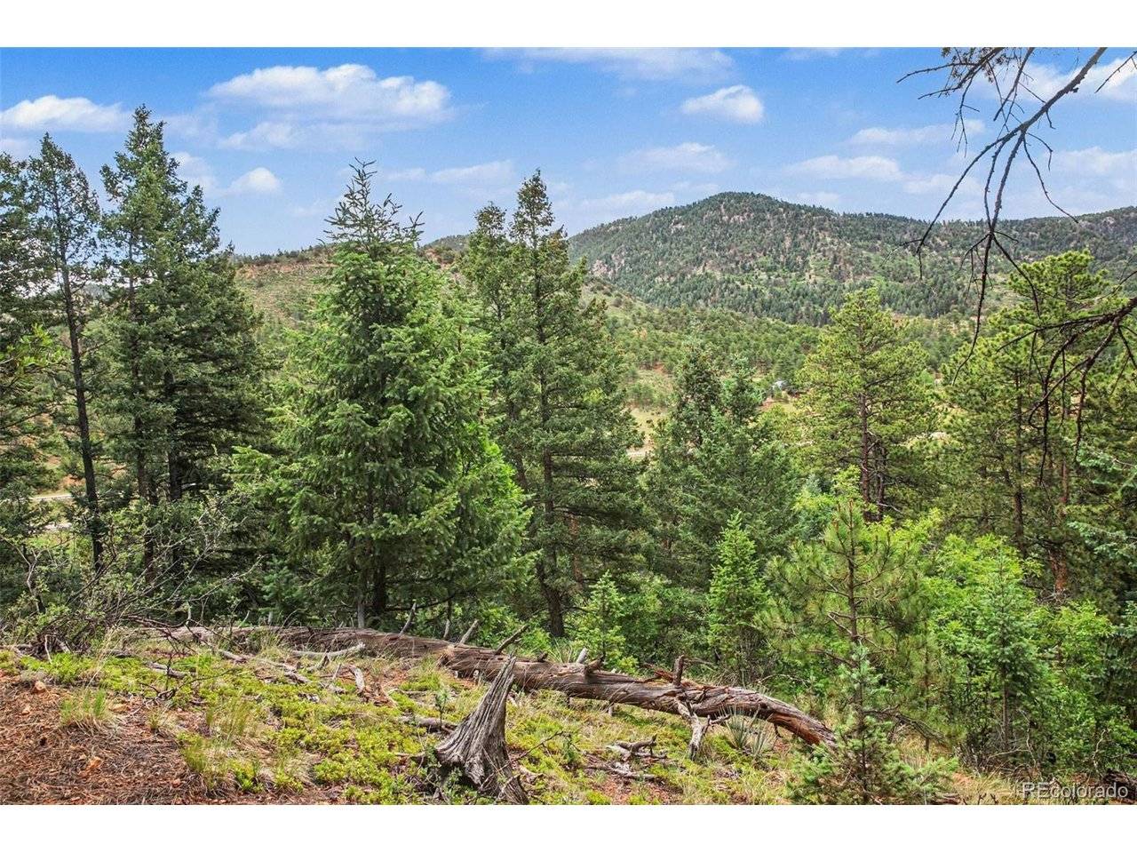 10905 W Highway 24, Green Mountain Falls, CO 80819