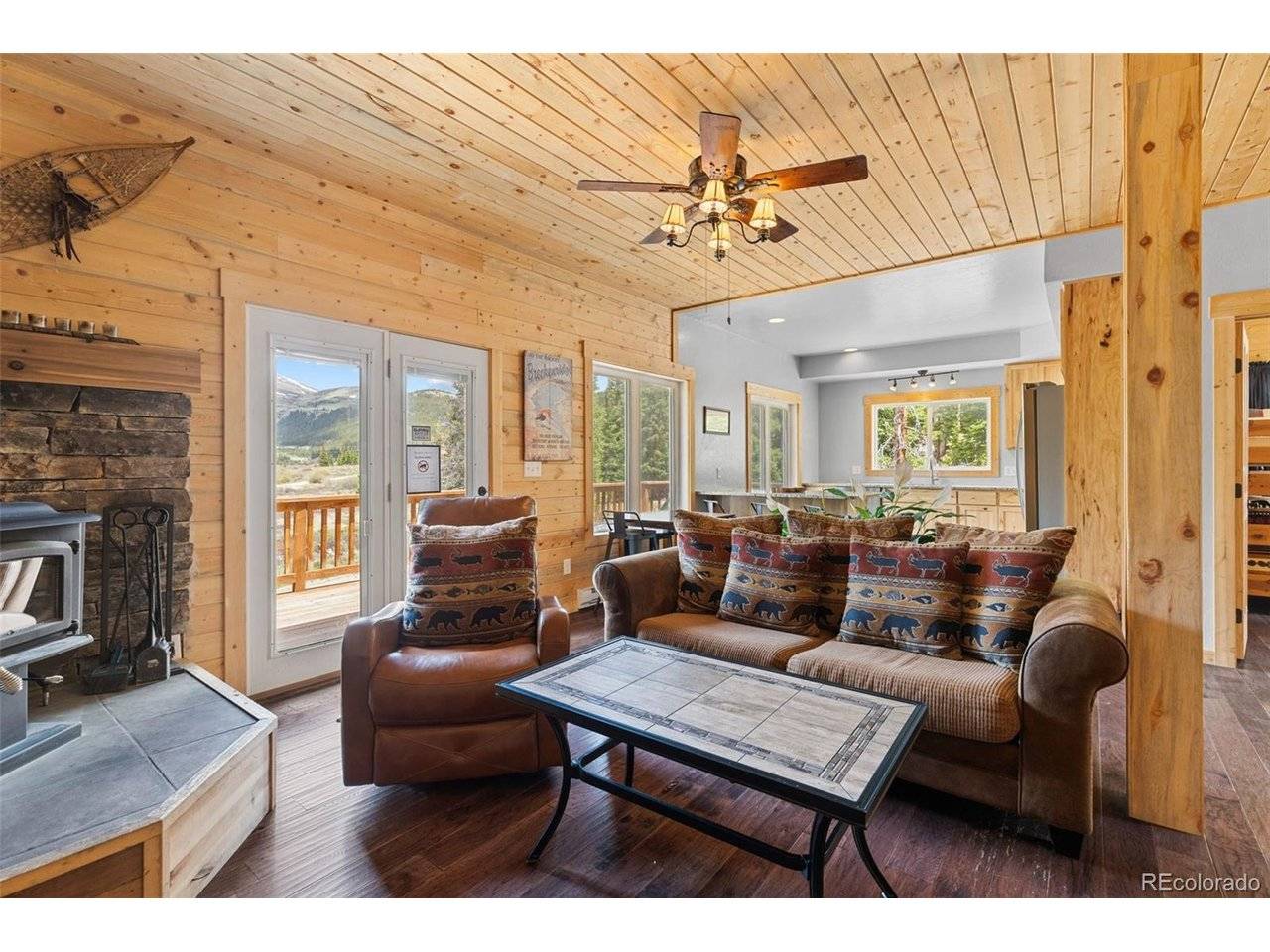 52 Coot, Alma, CO 80420