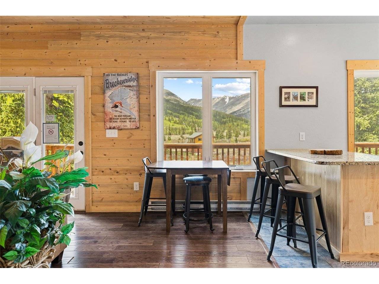 52 Coot, Alma, CO 80420