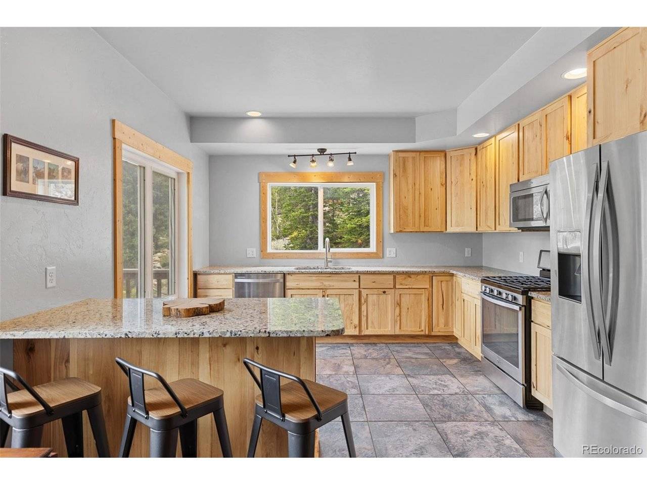 52 Coot, Alma, CO 80420