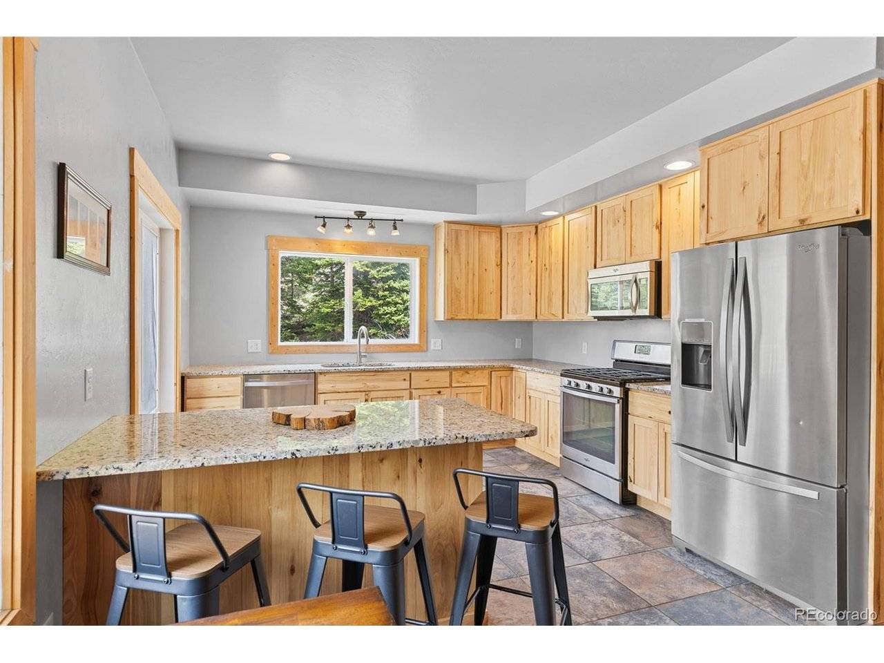 52 Coot, Alma, CO 80420