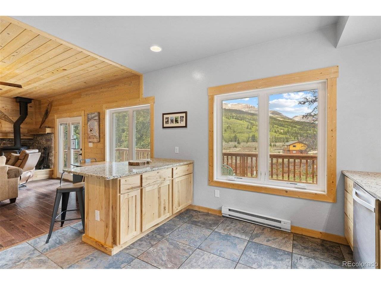 52 Coot, Alma, CO 80420
