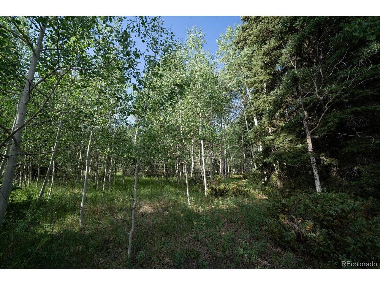 42 W Peregrine, Antonito, CO 81120