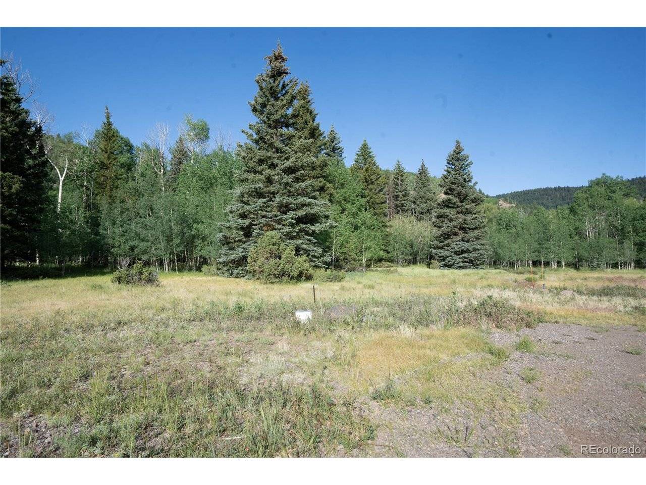 42 W Peregrine, Antonito, CO 81120
