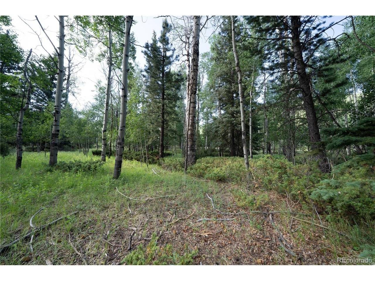 42 W Peregrine, Antonito, CO 81120
