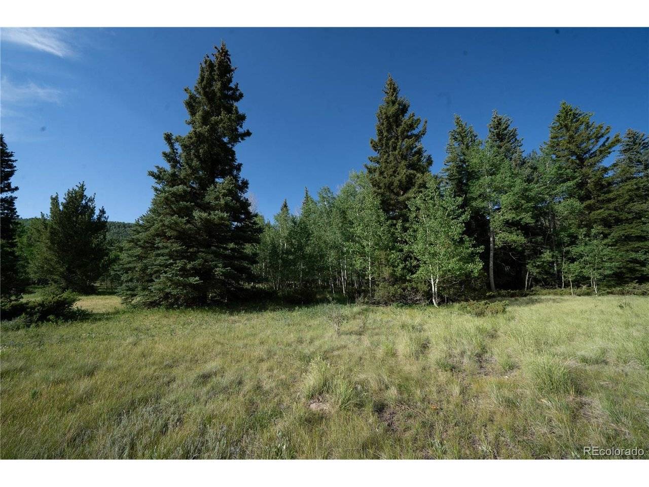 42 W Peregrine, Antonito, CO 81120
