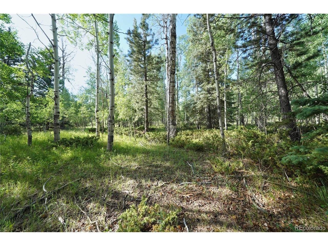 42 W Peregrine, Antonito, CO 81120