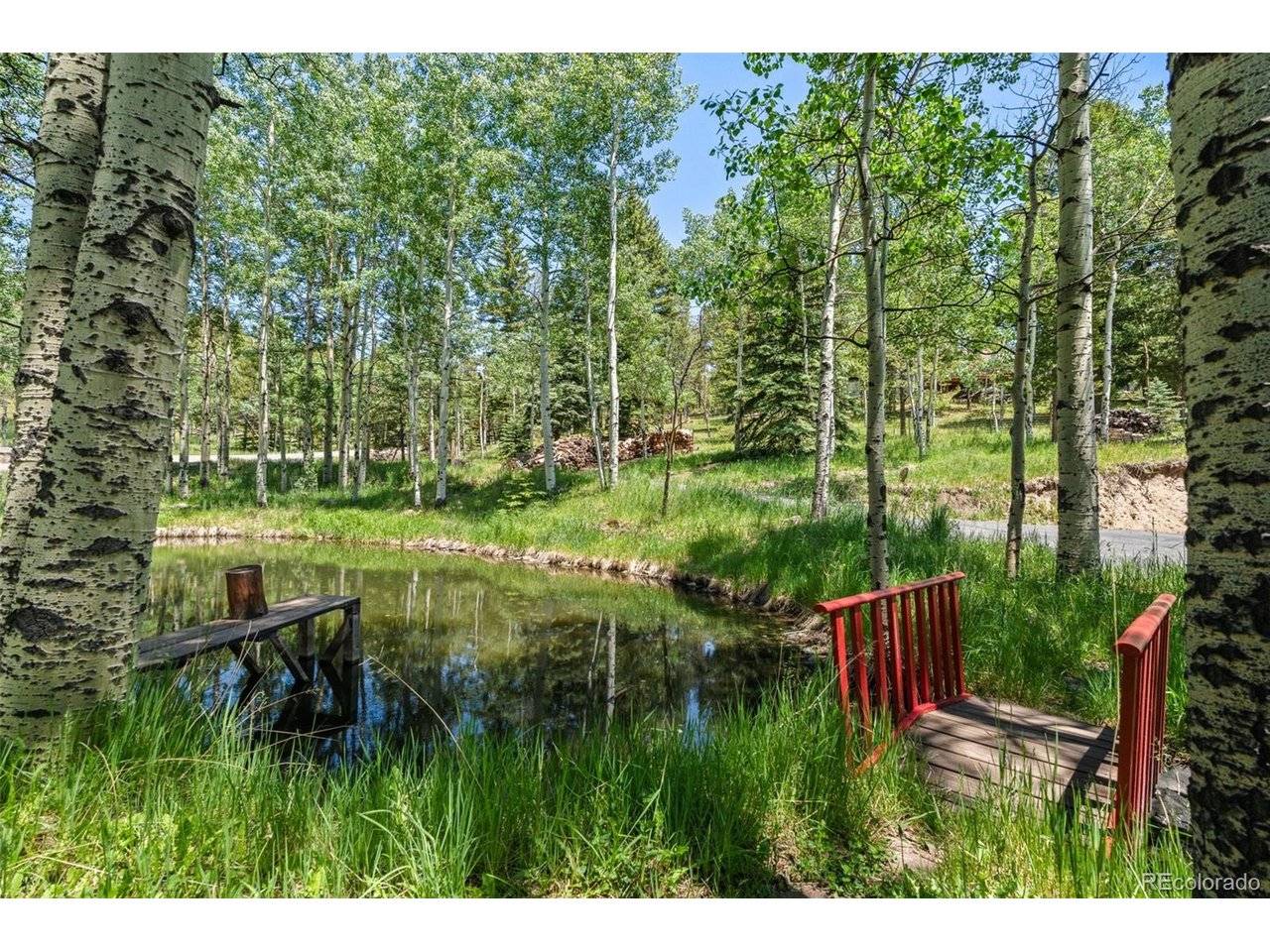 9030 Rex, Conifer, CO 80433