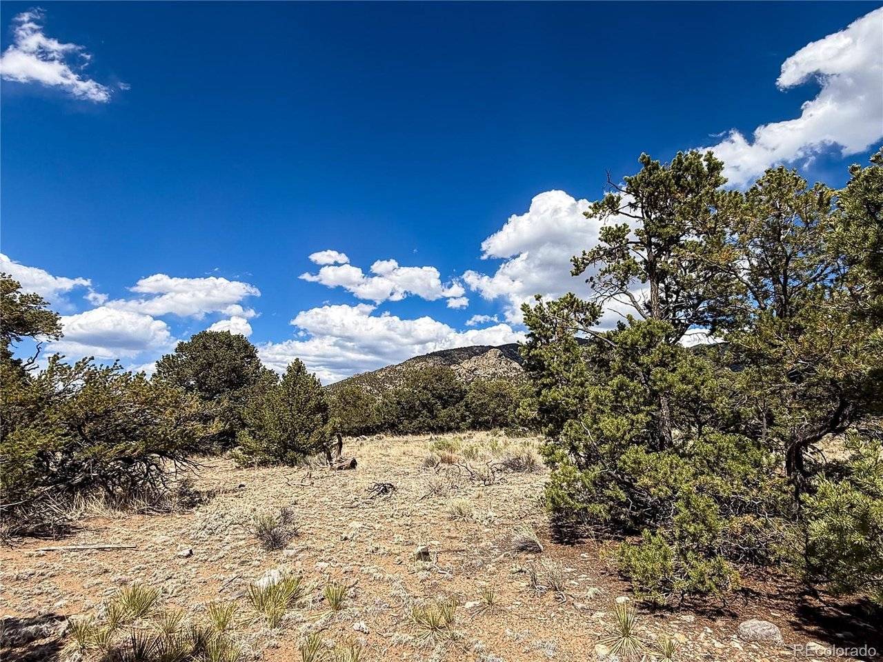 107 Crosstimber, Mosca, CO 81146