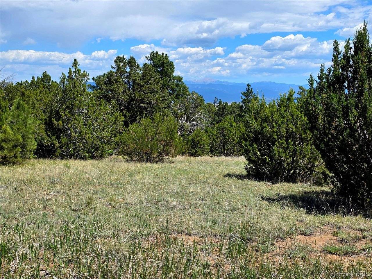0 County Road 15, Florence, CO 81226