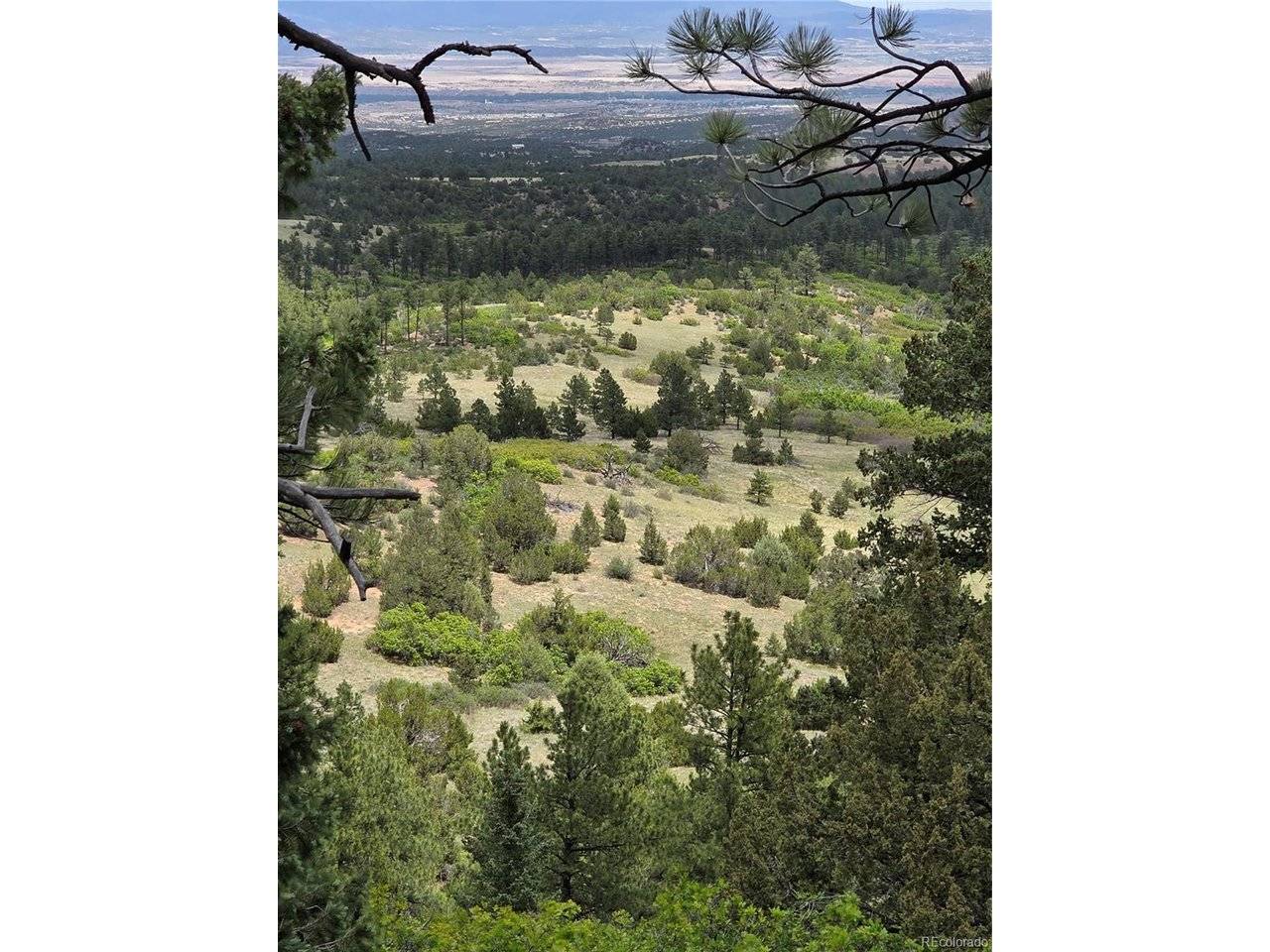 0 County Road 15, Florence, CO 81226