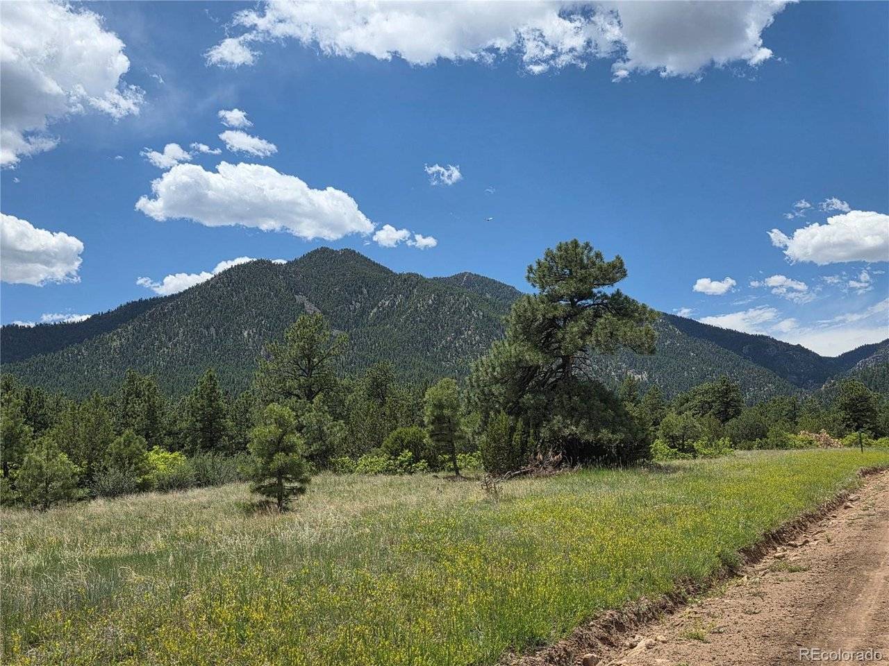 0 County Road 15, Florence, CO 81226