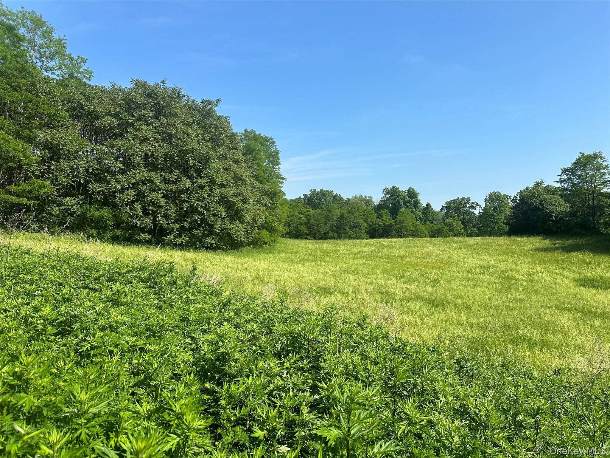 Address not disclosed, Tivoli, NY 12583