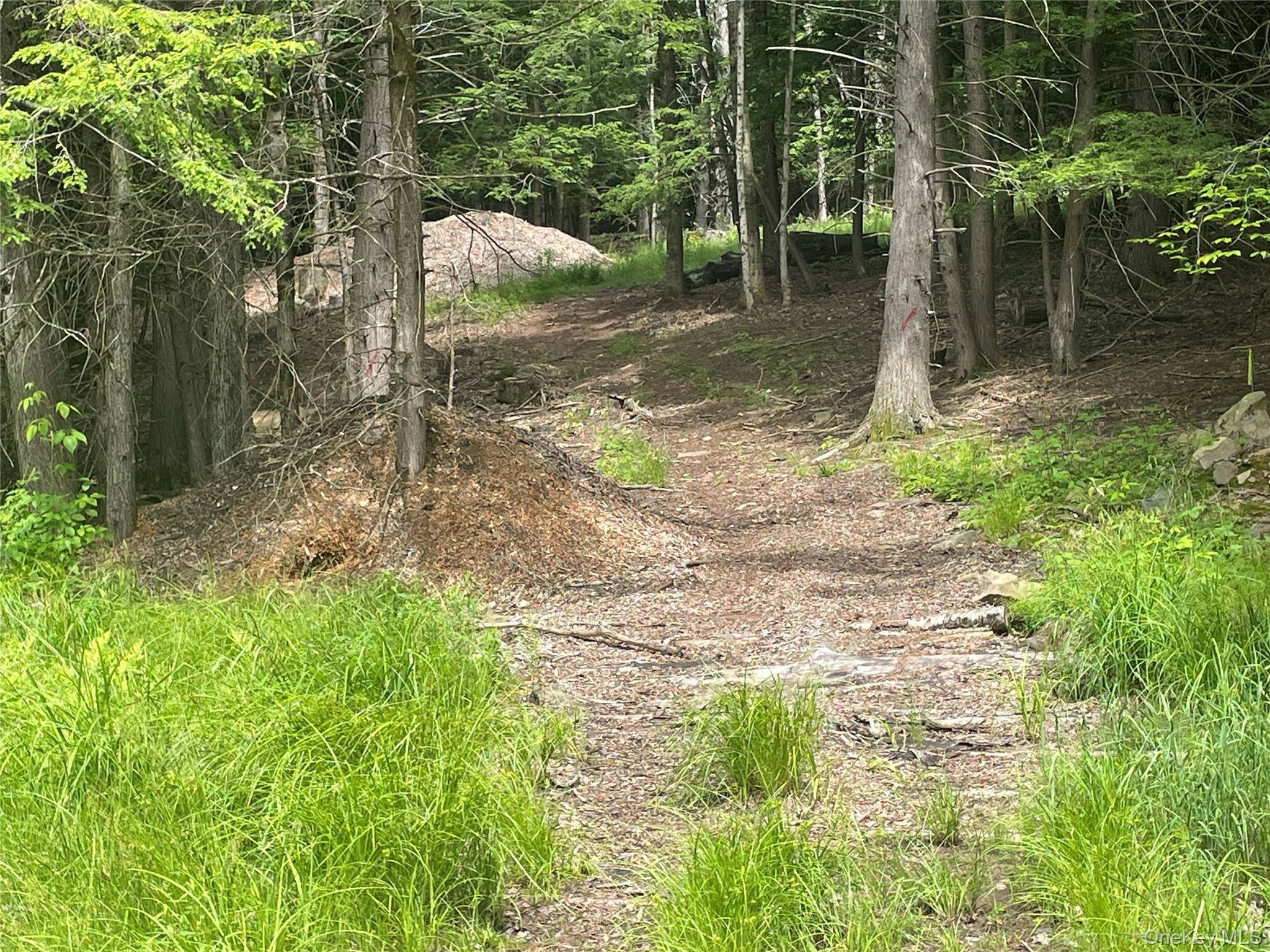 TBD Boulder Brook lot B12 RD, Windham, NY 12496