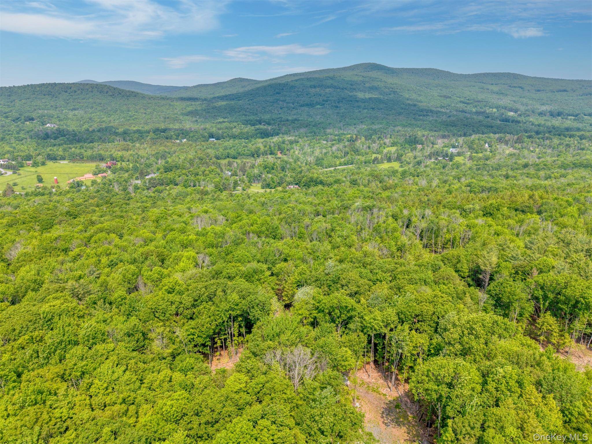 TBD Boulder Brook lots 33-38 RD, Windham, NY 12496
