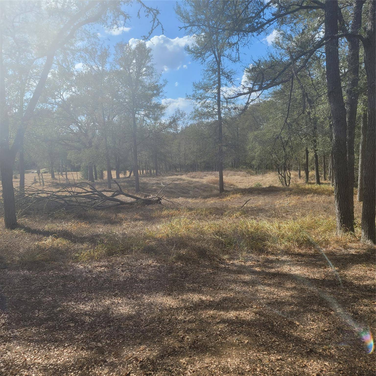 2492 Fm 1704, Elgin, TX 78621