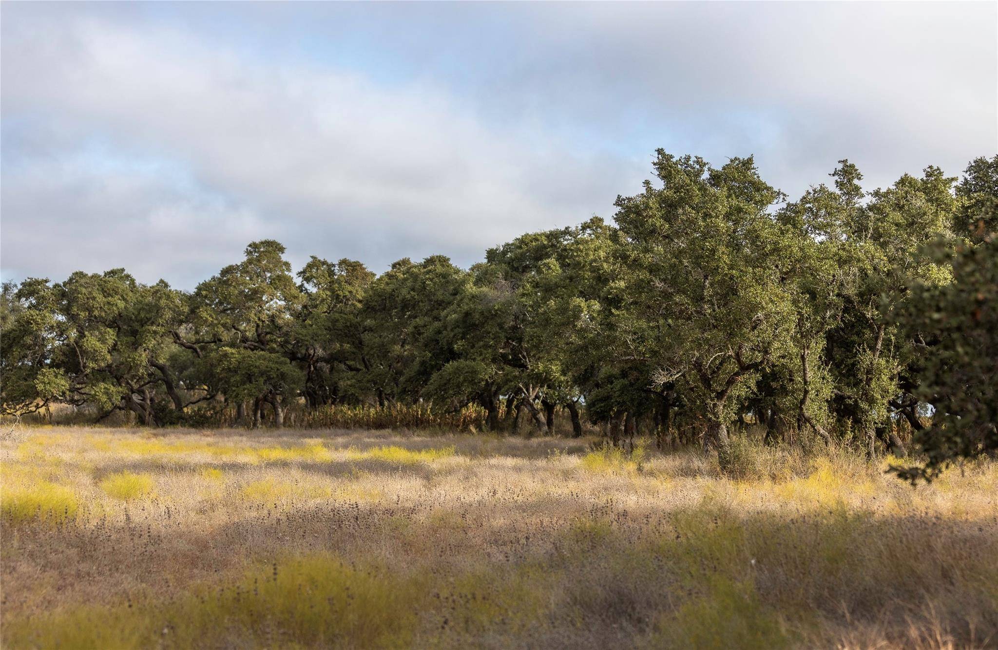 Lot 1 Legacy Hills DR, Johnson City, TX 78636