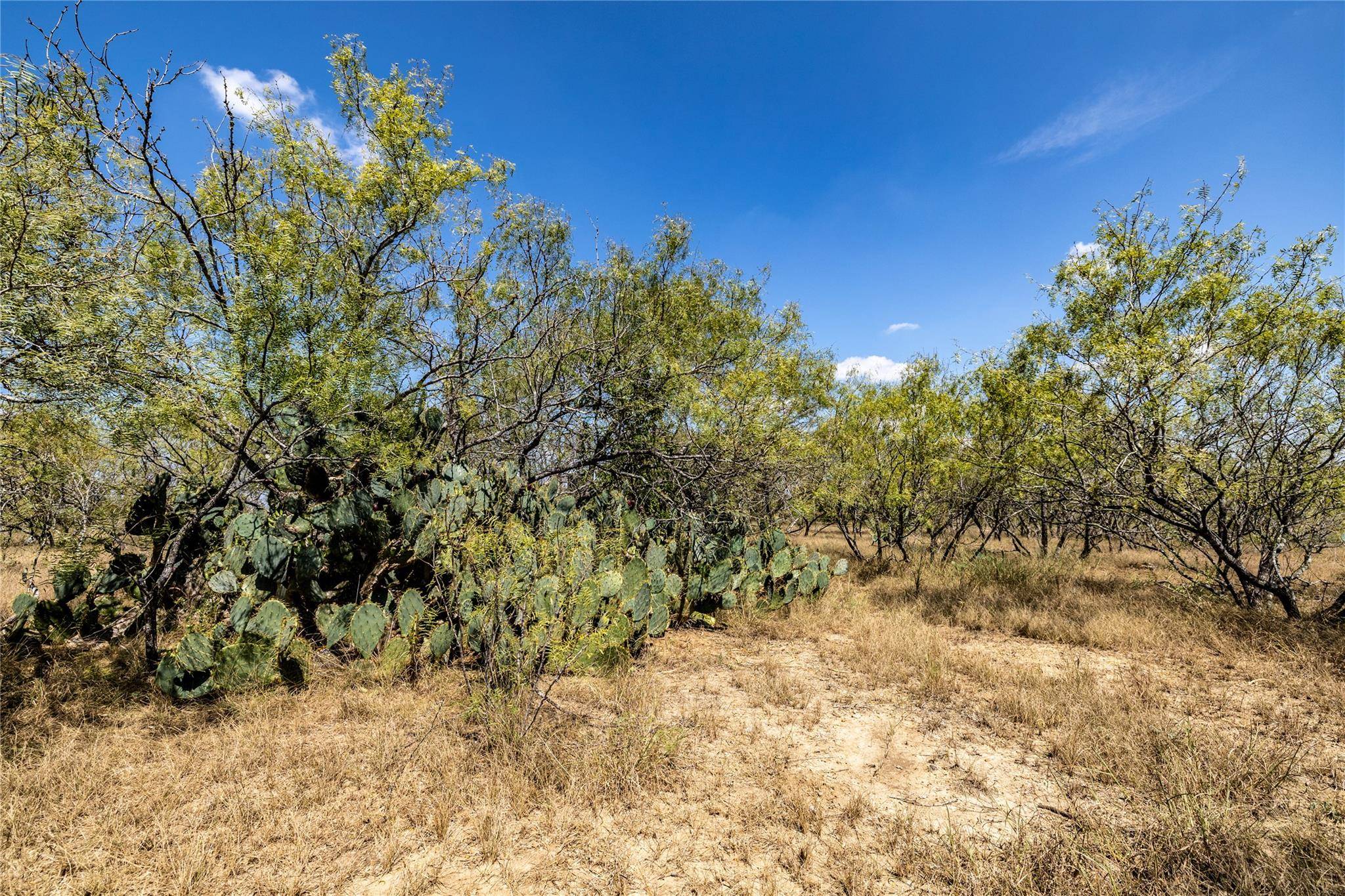 TBD Lot 2 Track RD, Dale, TX 78616