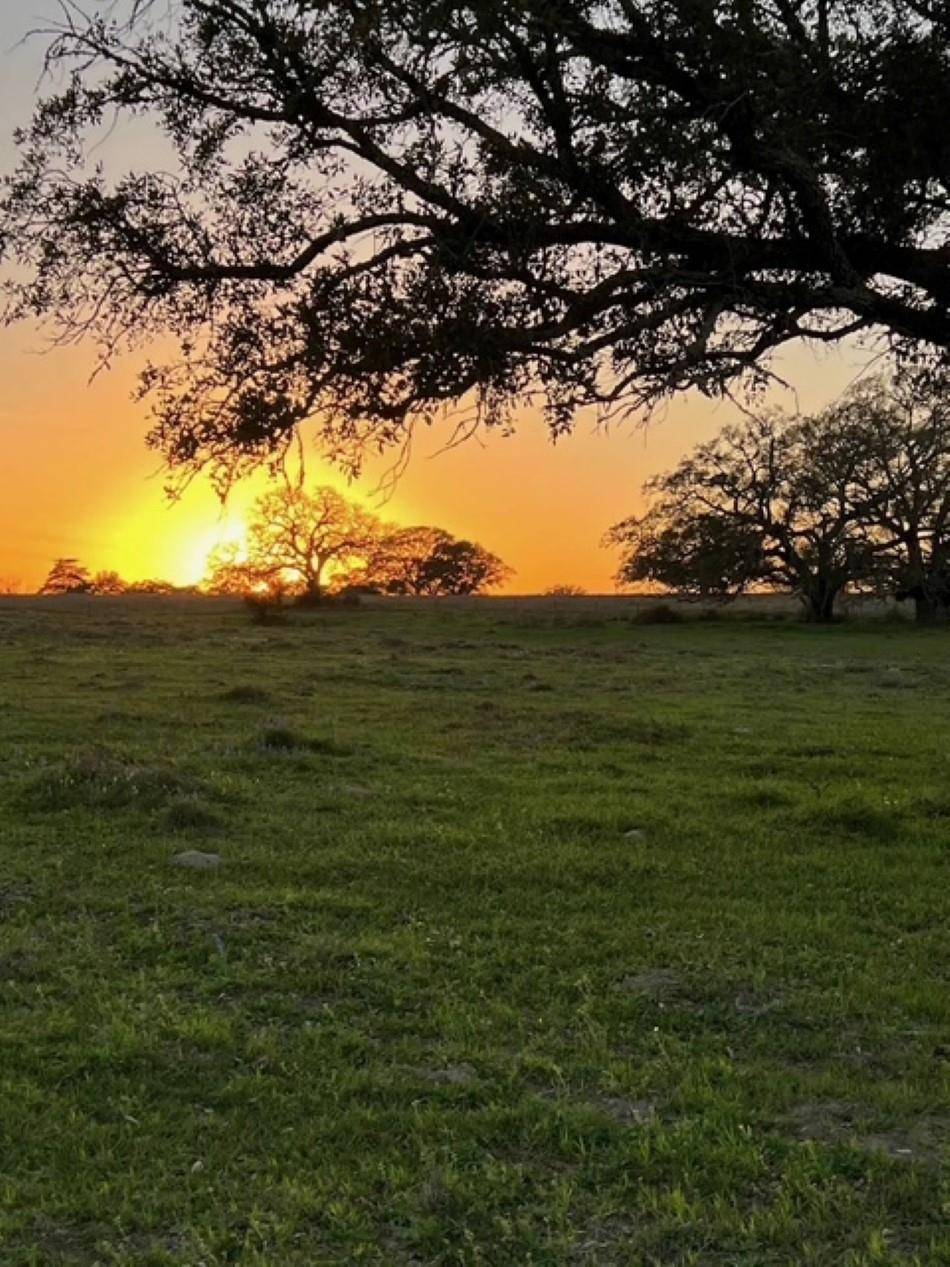 265 Boulton Creek RD, Flatonia, TX 78941