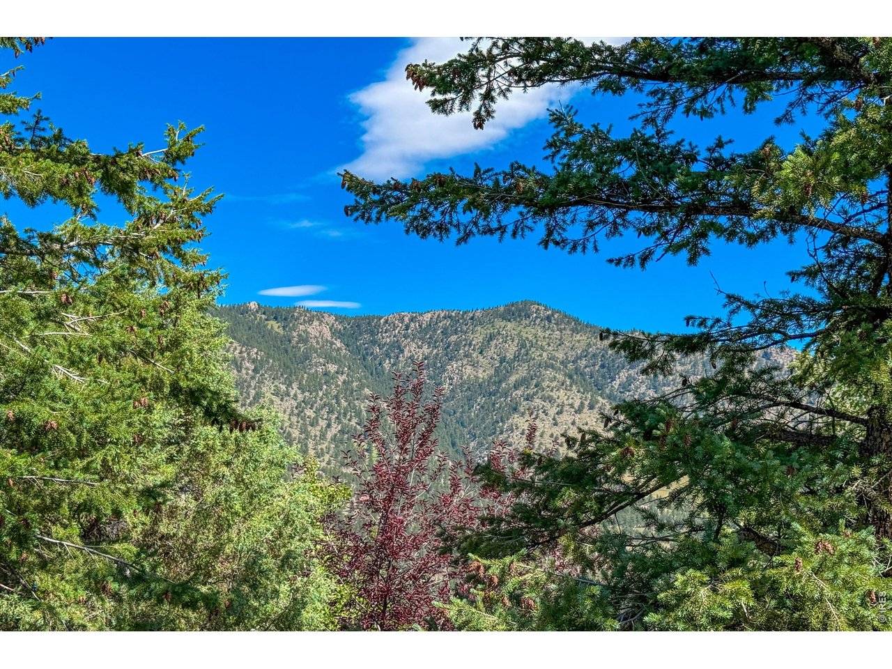 1108 Eagle, Lyons, CO 80540