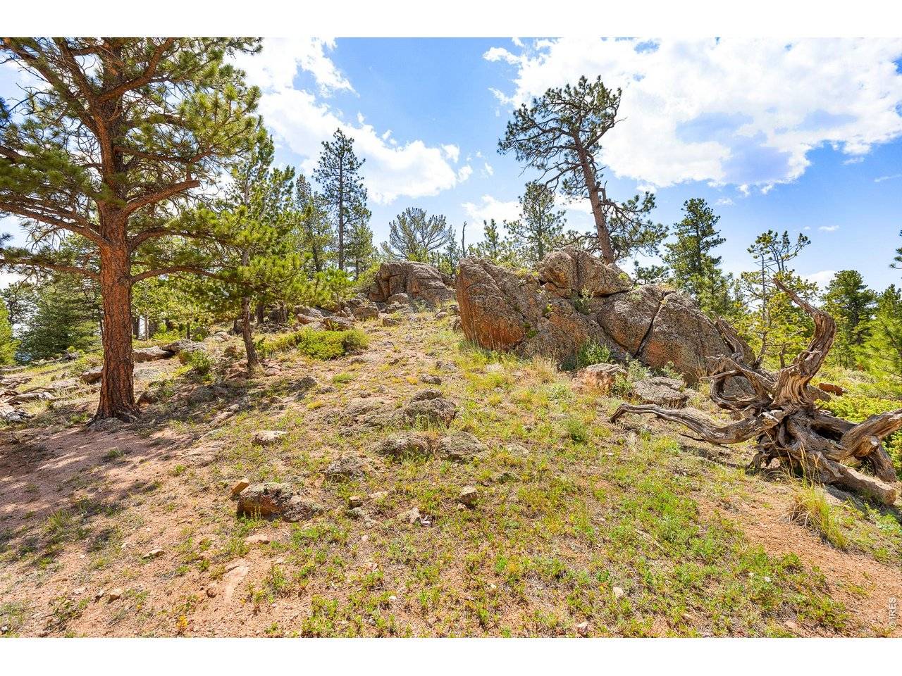 107 Miami, Red Feather Lakes, CO 80545