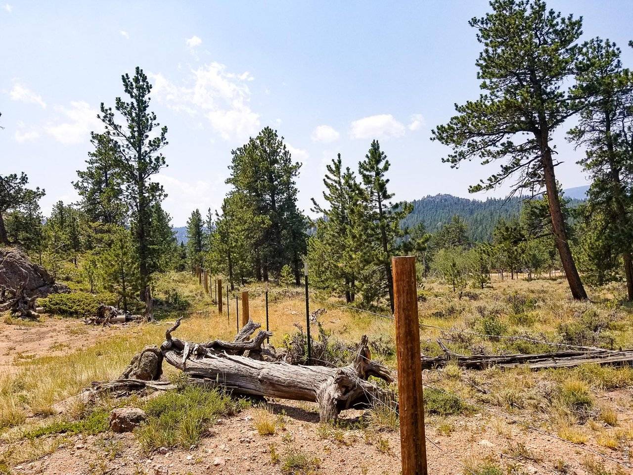 107 Miami, Red Feather Lakes, CO 80545