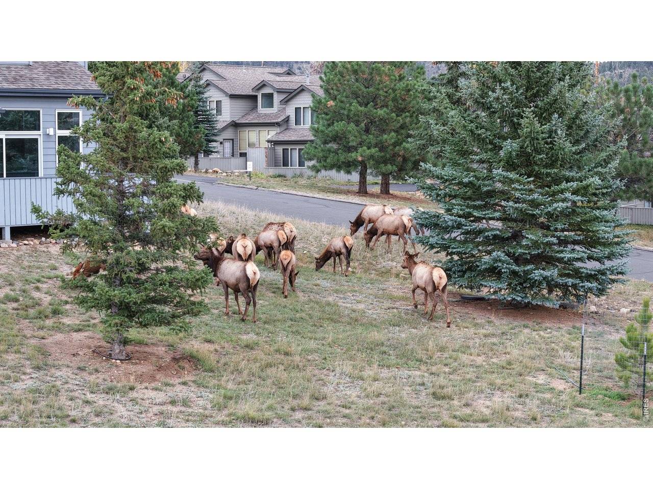 1555 Raven #C, Estes Park, CO 80517