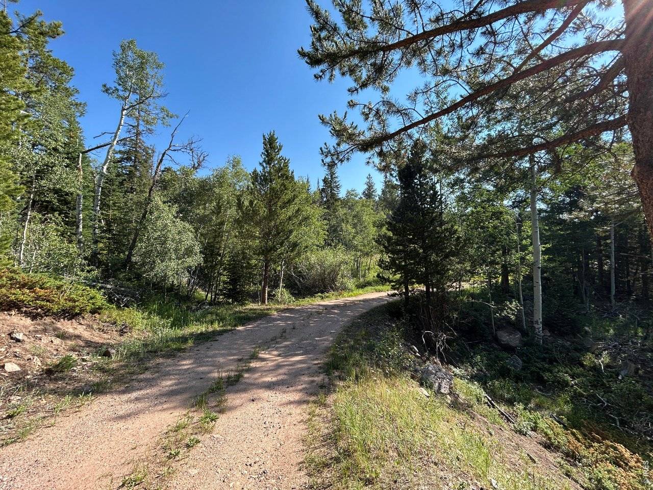 506 Elkridge, Red Feather Lakes, CO 80545