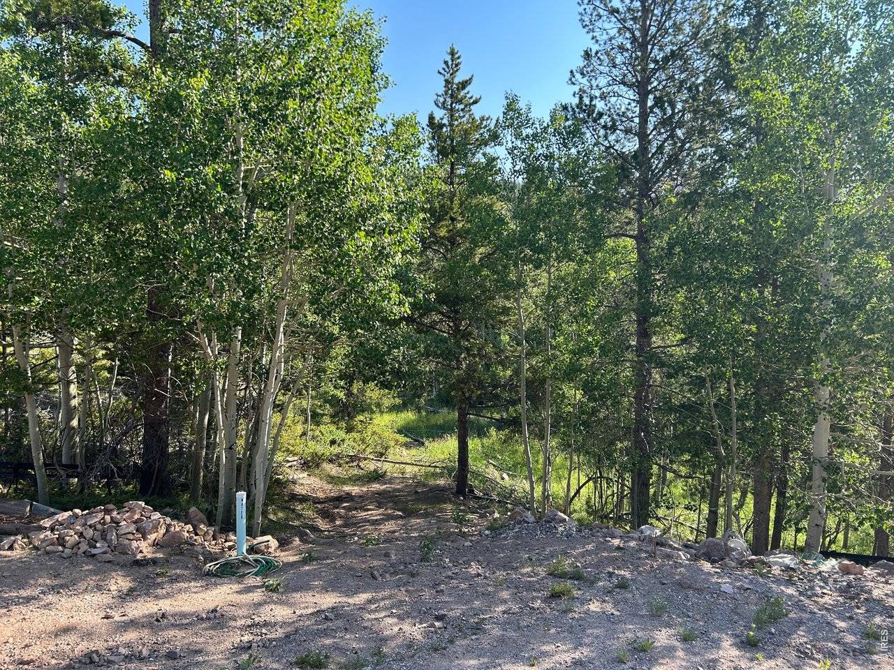 506 Elkridge, Red Feather Lakes, CO 80545