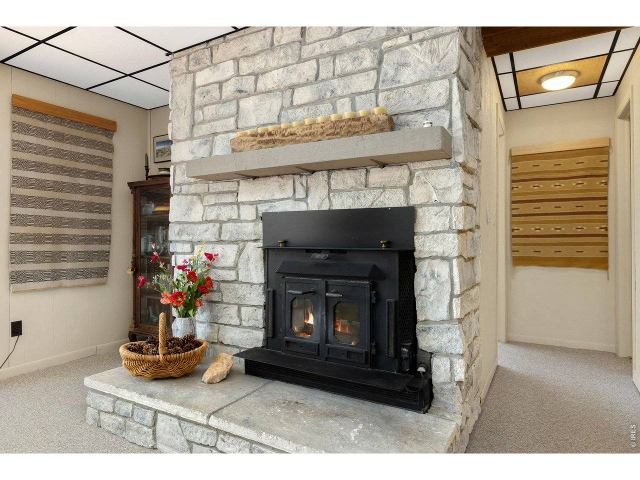 1511 Prospect Mountain, Estes Park, CO 80517