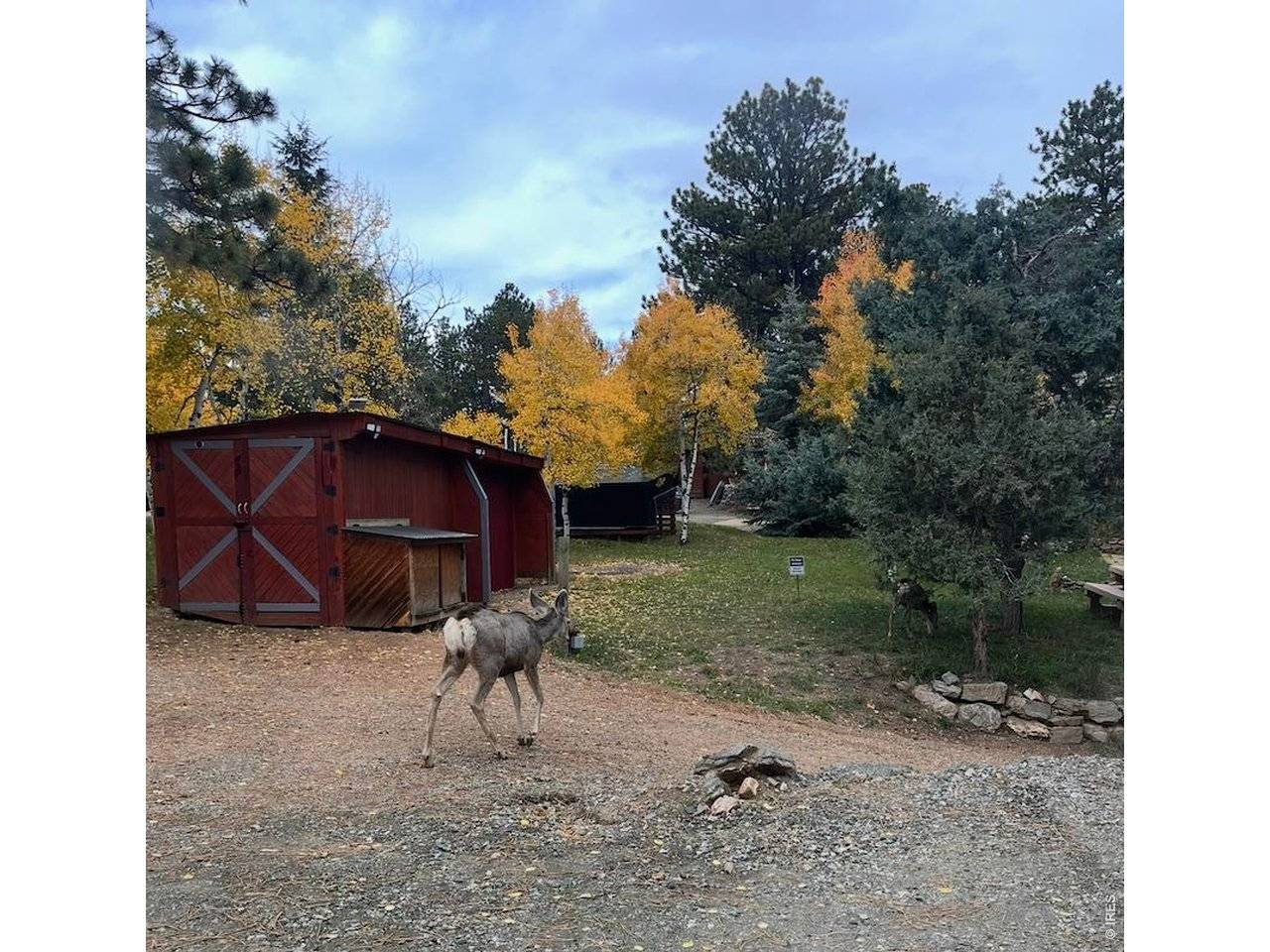 280 Bunny, Bailey, CO 80421