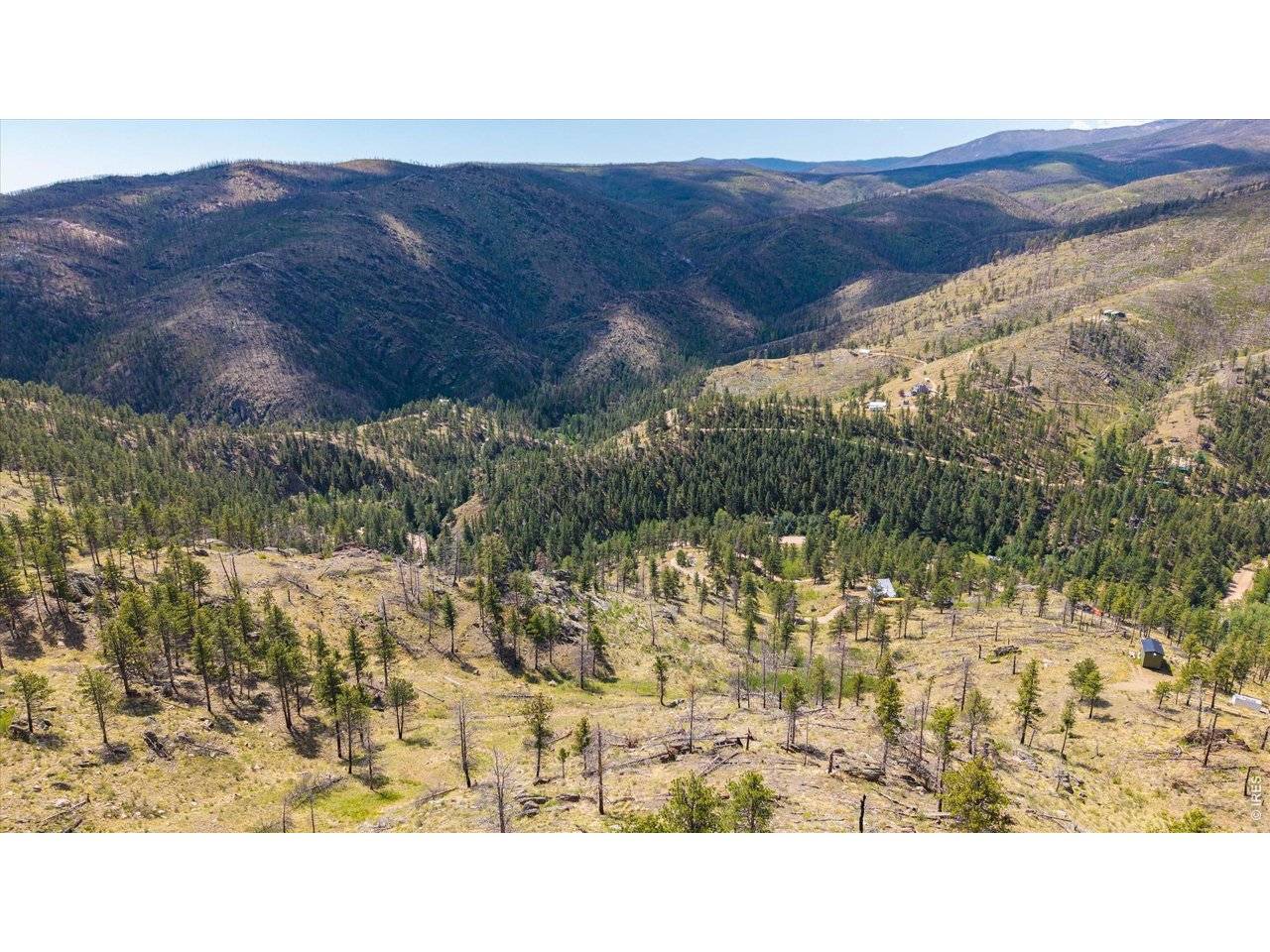 693 Cougar, Bellvue, CO 80512