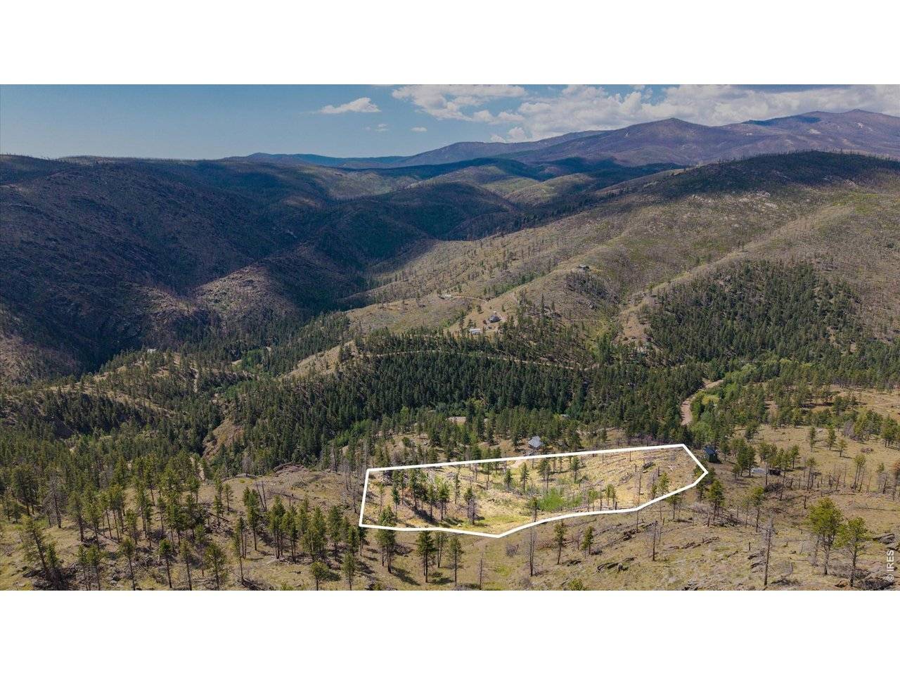 693 Cougar, Bellvue, CO 80512