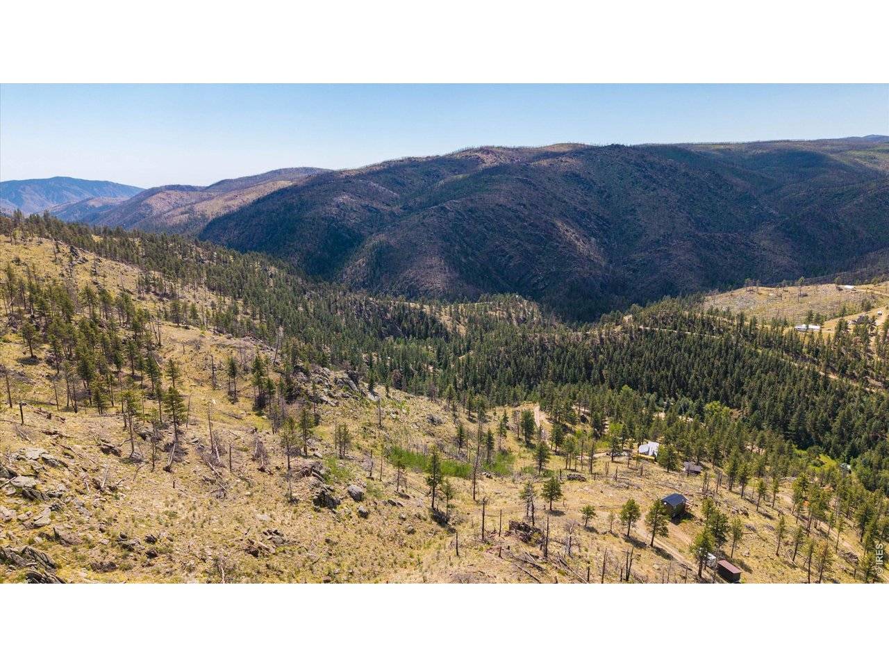 693 Cougar, Bellvue, CO 80512